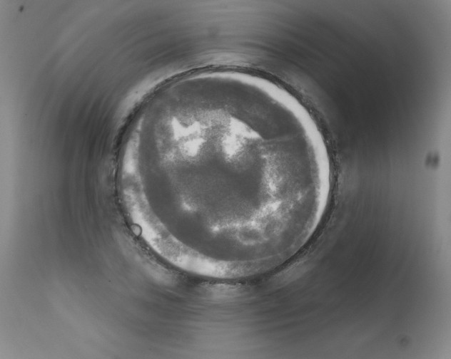 X0000111481027200908250956