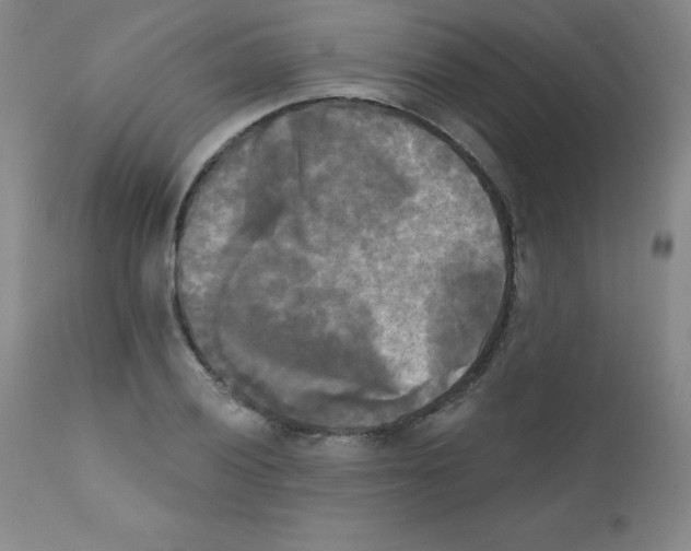 X0000111481028200908250956