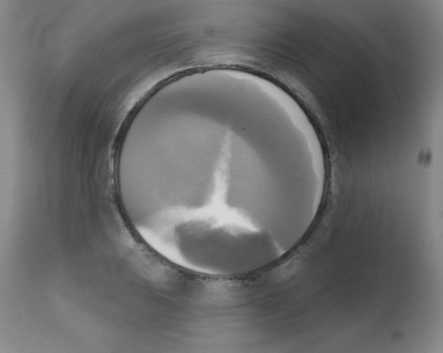 X0000111481031200908250956