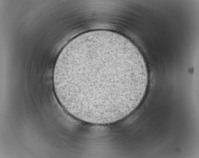 X0000111481033200908250956
