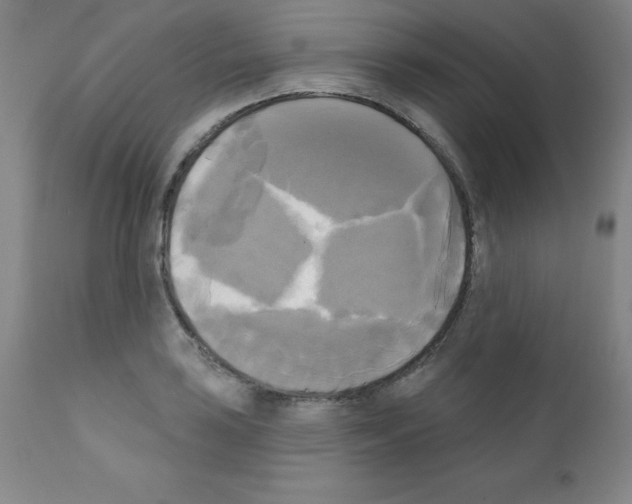 X0000111481035200908250956