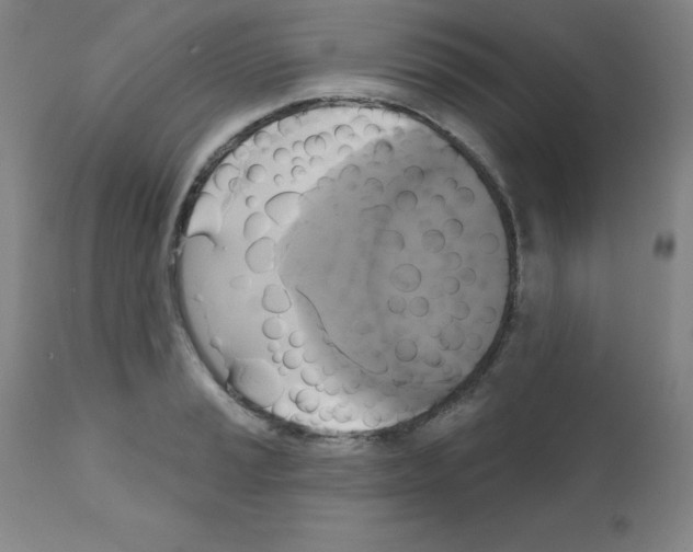 X0000111481037200908250957