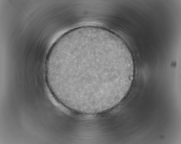 X0000111481038200908250957