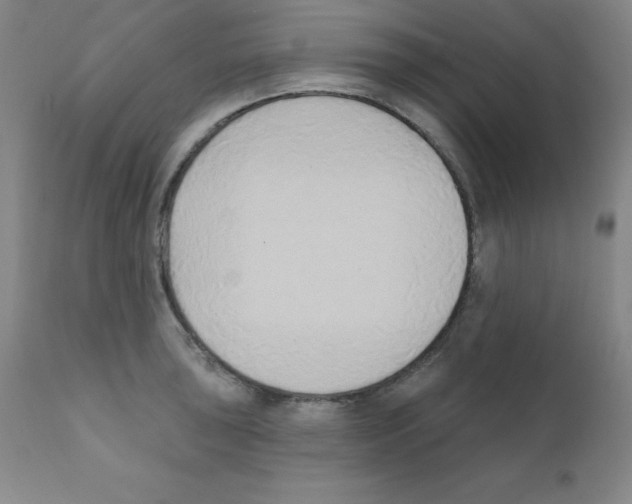 X0000111481043200908250957