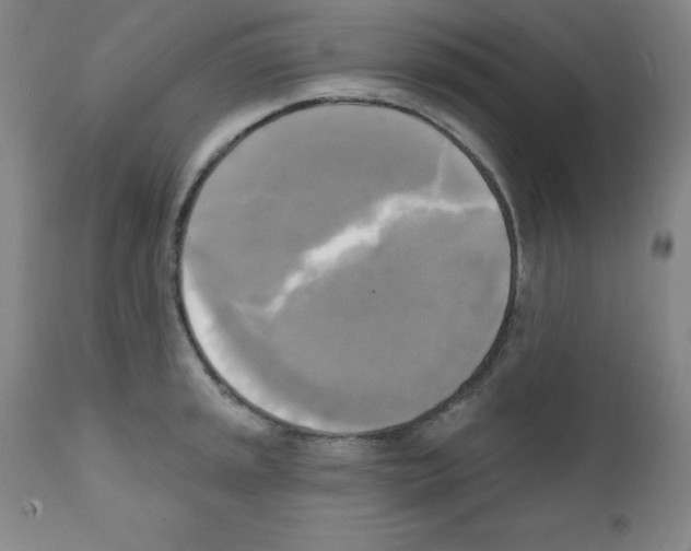 X0000111481045200908250957