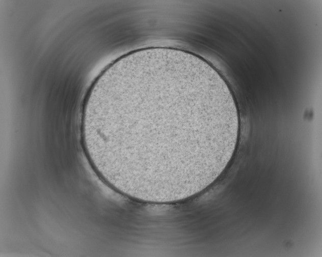 X0000111481046200908250957