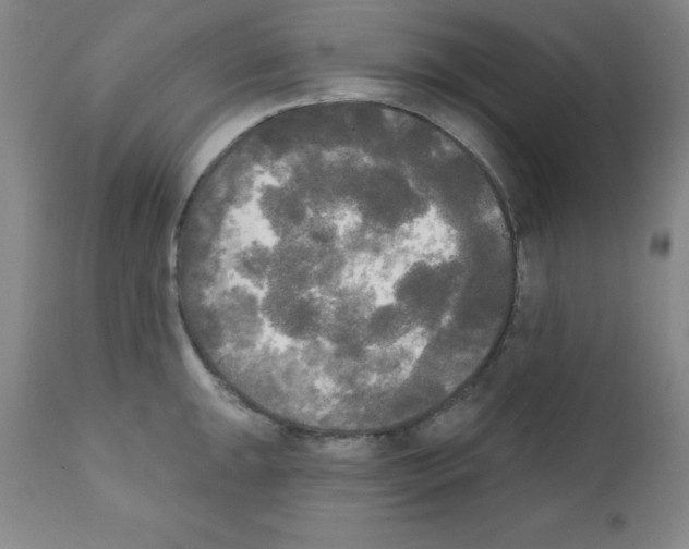 X0000111481047200908250957