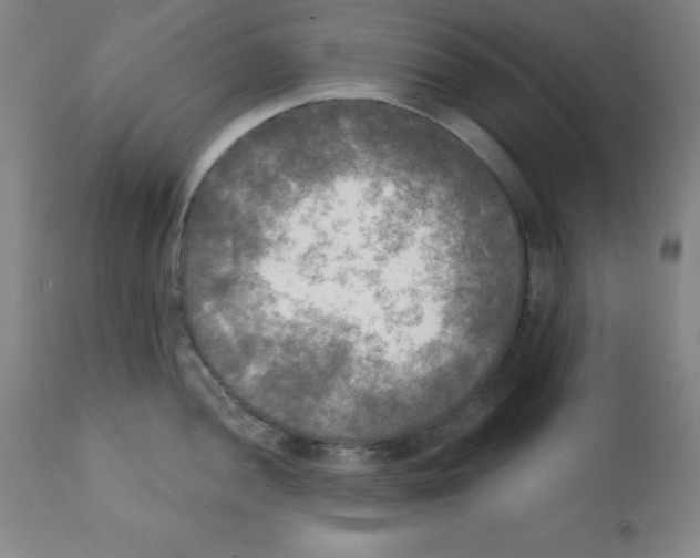 X0000111481052200908250957