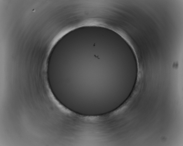 X0000111481053200908250957