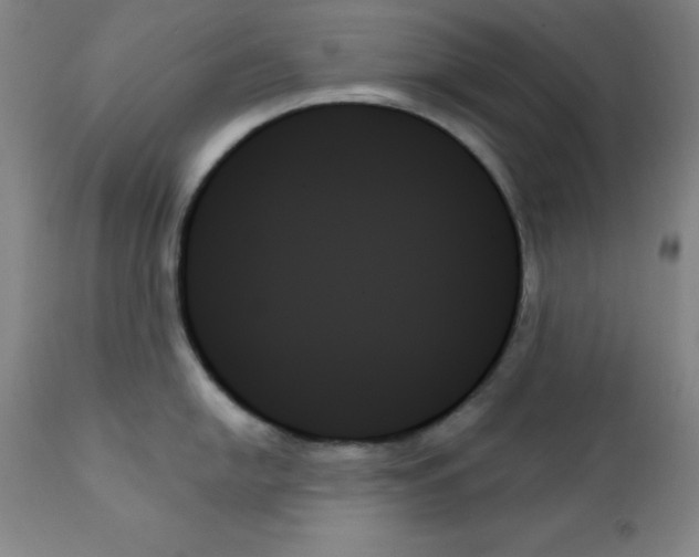 X0000111481054200908250957