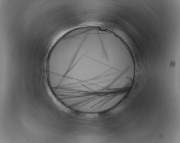 X0000111481055200908250957