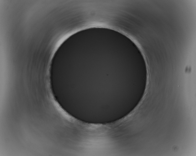 X0000111481056200908250957
