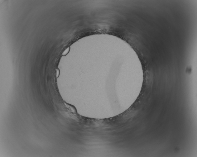 X0000111481057200908250956