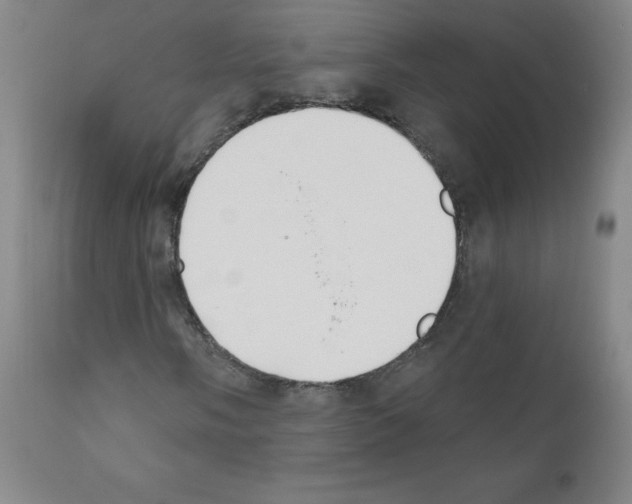 X0000111481058200908250956
