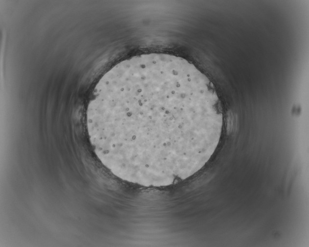 X0000111481059200908250956