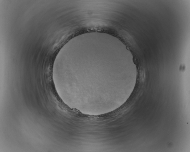X0000111481060200908250956