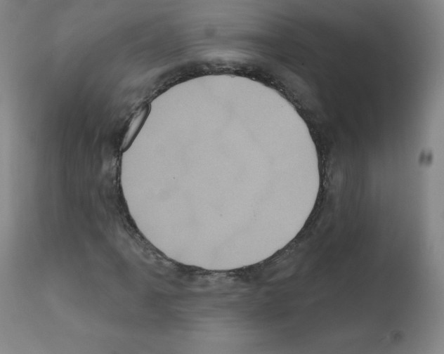 X0000111481061200908250956