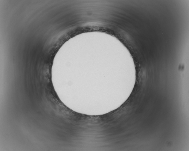 X0000111481062200908250956