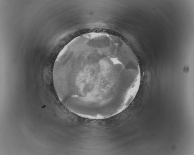 X0000111481063200908250956