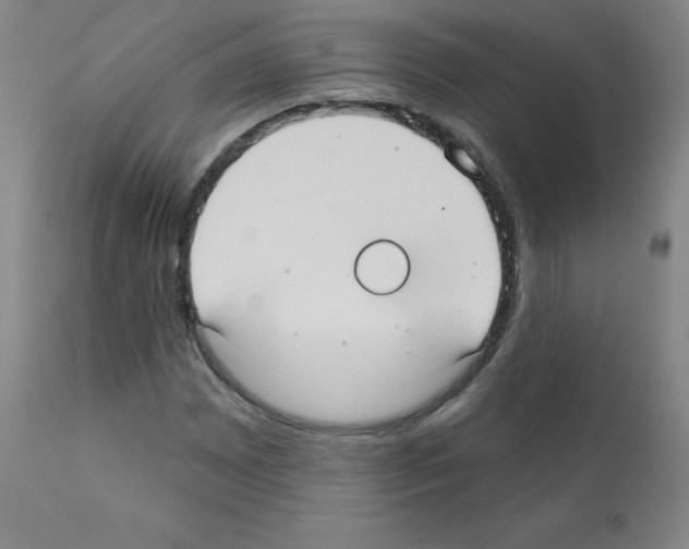 X0000111481065200908250956