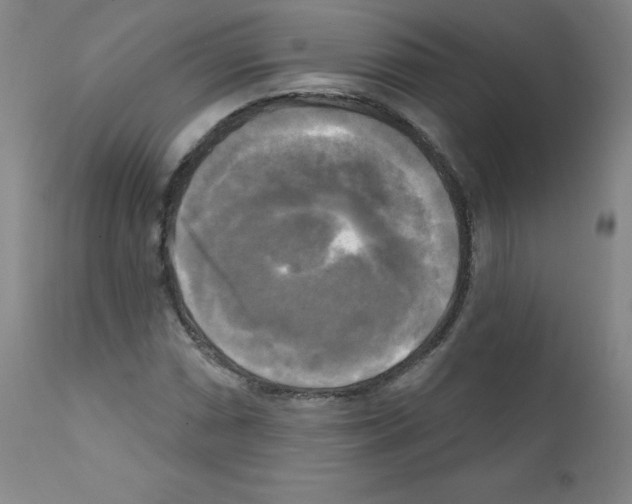 X0000111481066200908250956