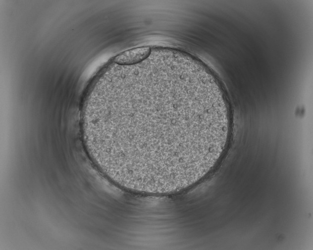 X0000111481067200908250956