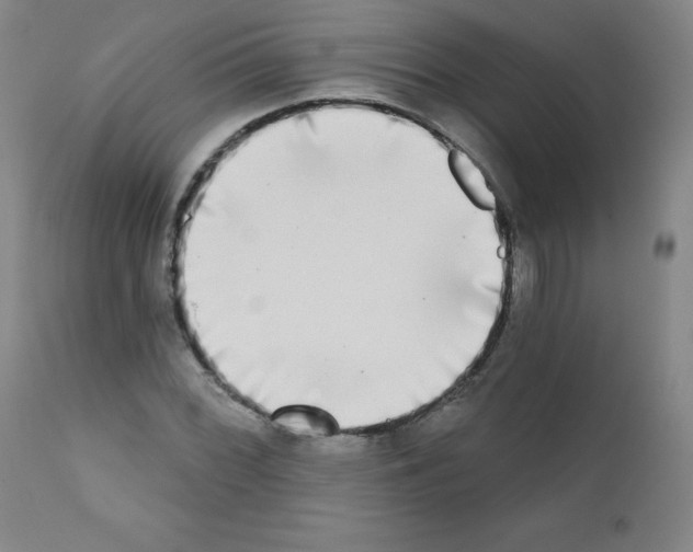 X0000111481068200908250956