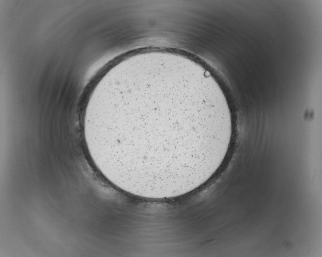 X0000111481070200908250956