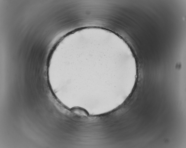 X0000111481072200908250956