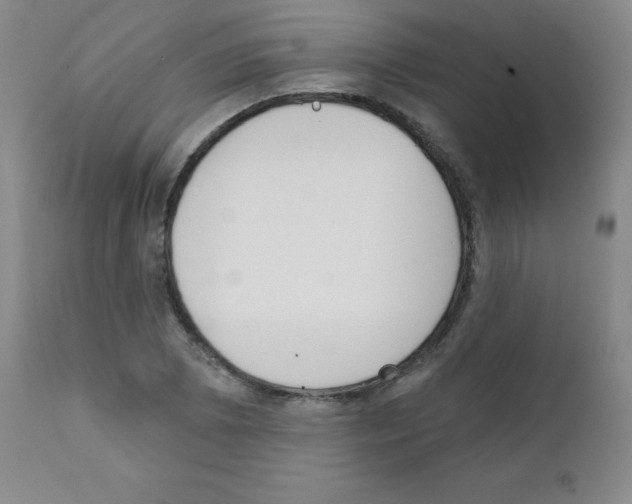 X0000111481073200908250956