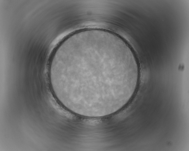 X0000111481074200908250956