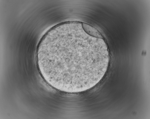 X0000111481076200908250956