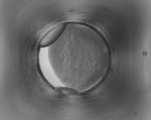 X0000111481077200908250956