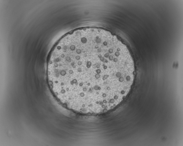 X0000111481079200908250956