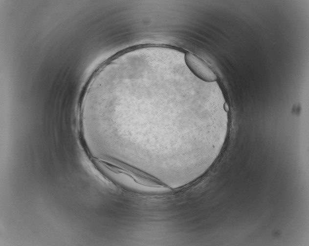 X0000111481080200908250956
