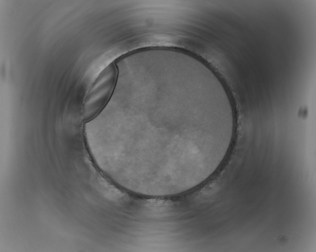 X0000111481081200908250956