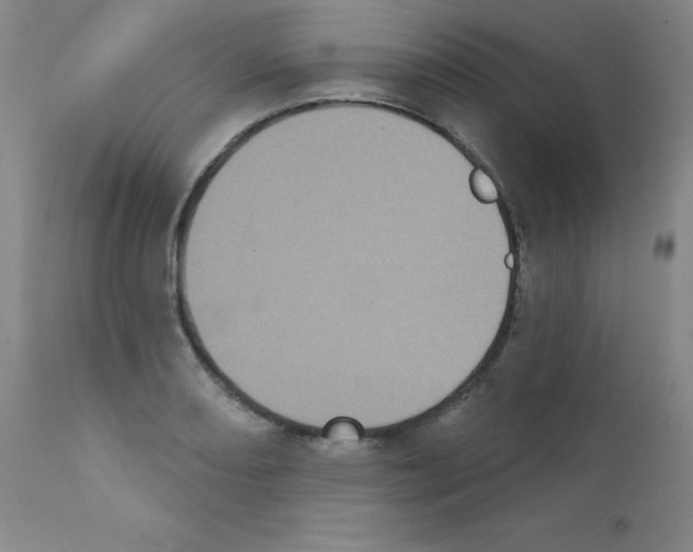 X0000111481082200908250956