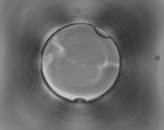 X0000111481084200908250956