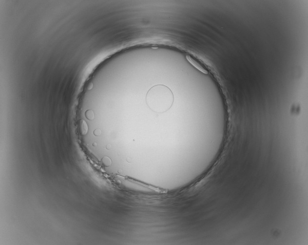 X0000111481086200908250955