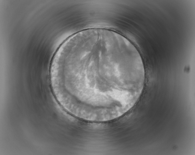 X0000111481087200908250955