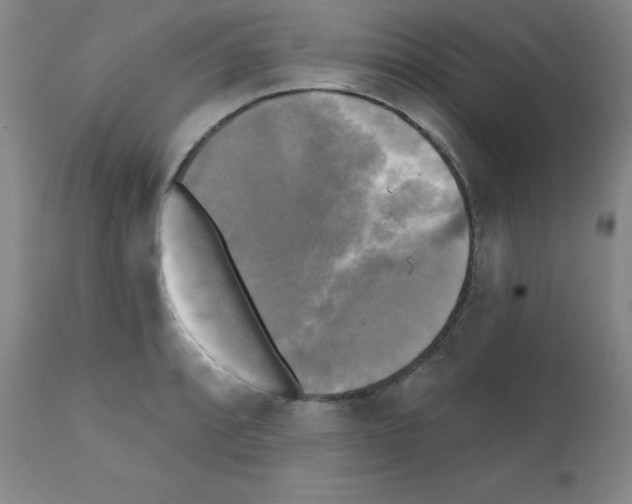 X0000111481088200908250955
