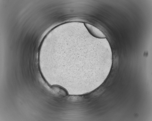 X0000111481092200908250955