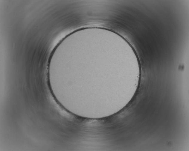X0000111481093200908250955