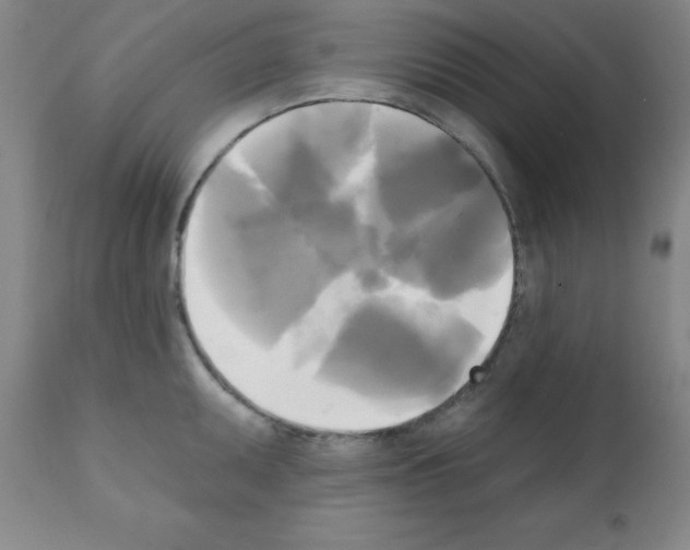 X0000111481095200908250955