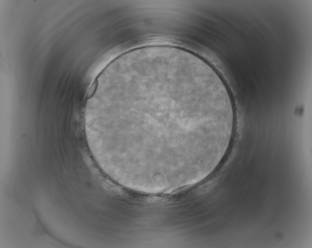 X0000111481097200908250955