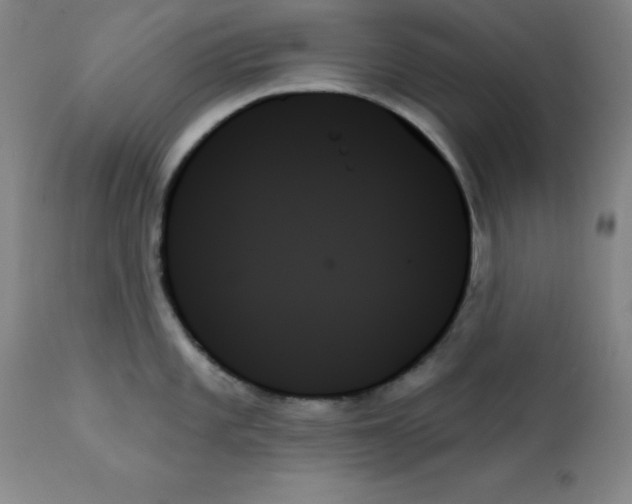 X0000111481101200908250955