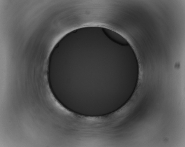 X0000111481102200908250955