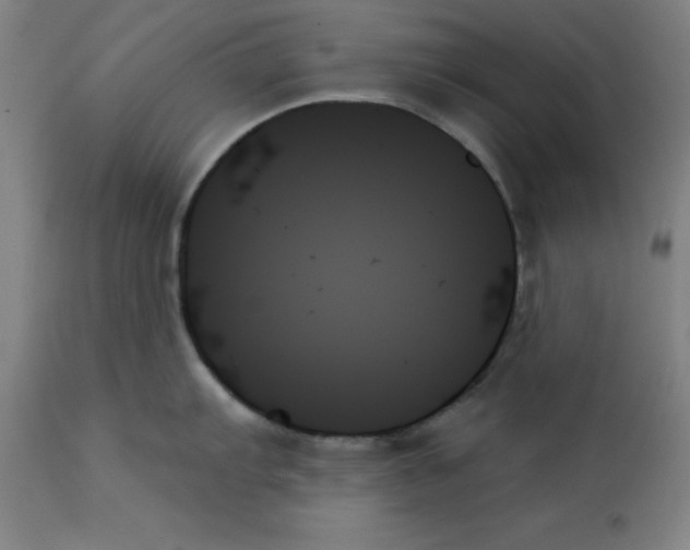 X0000111481103200908250955
