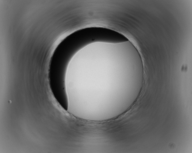 X0000111481104200908250955