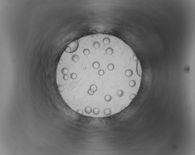X0000111481105200908250954